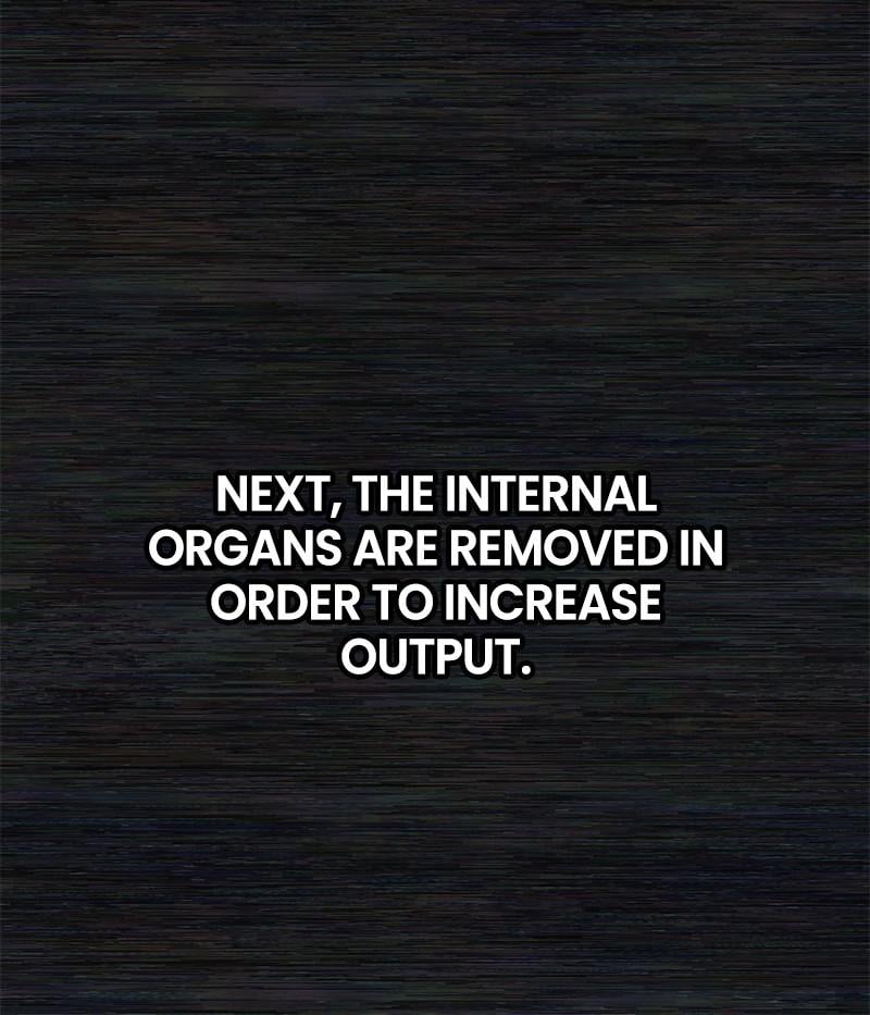 The Warrior Returns chapter 36 page 32