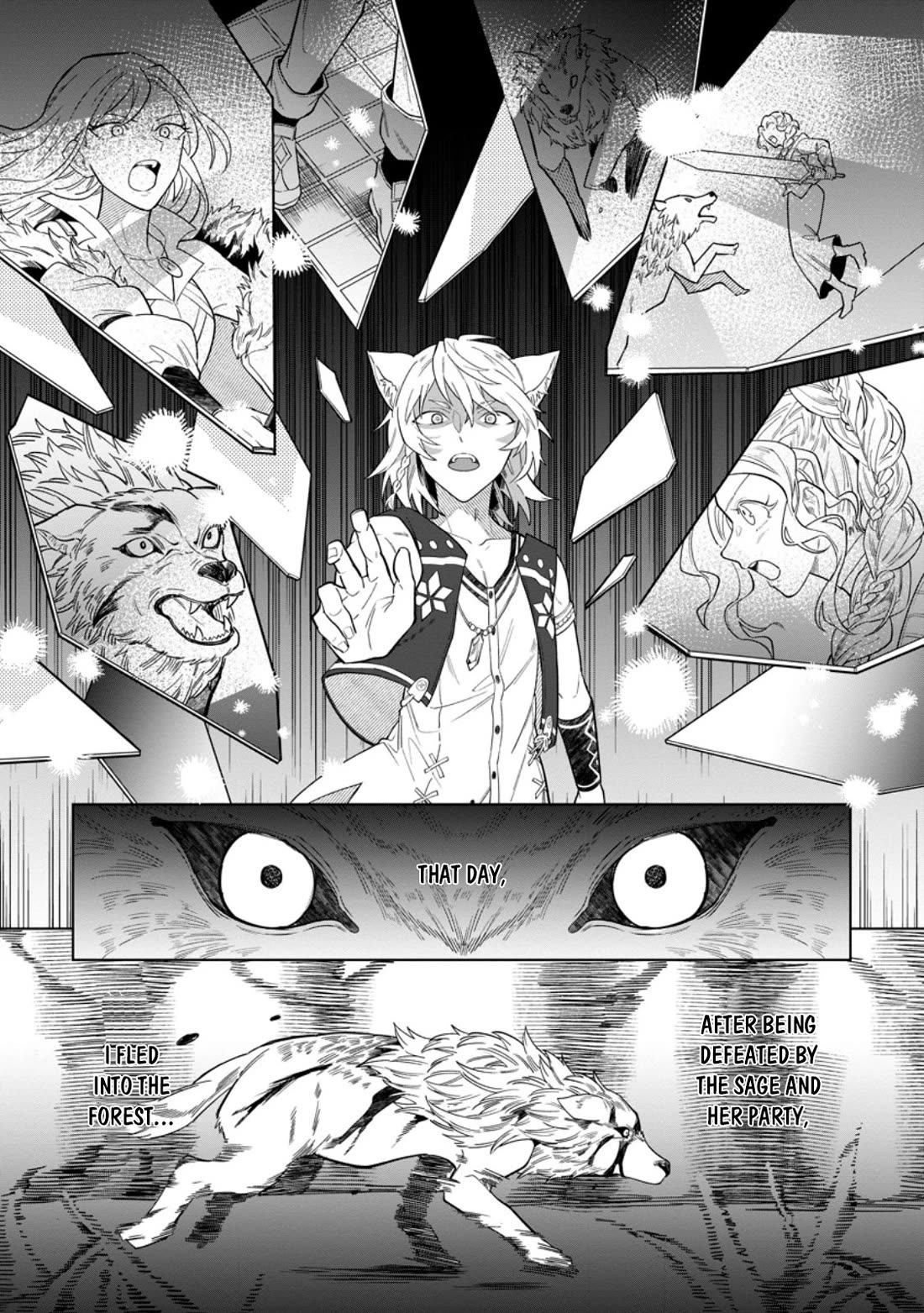 The White Mage Who Was Banished from the Hero's Party is Picked Up by an S Rank Adventurer~ This White Mage is too out of the Ordinary! chapter 50 page 27