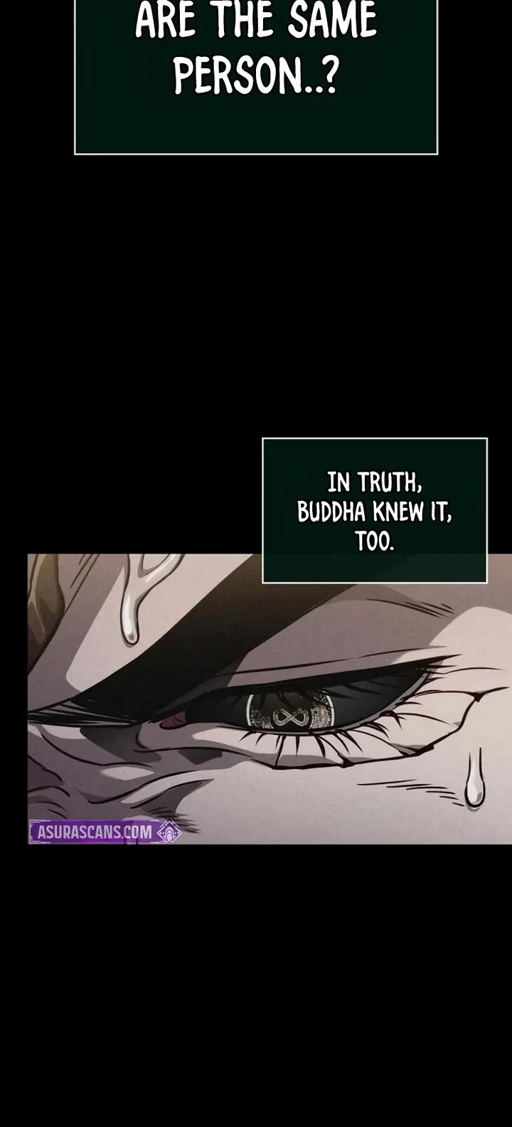 The World After the Fall chapter 225 page 25