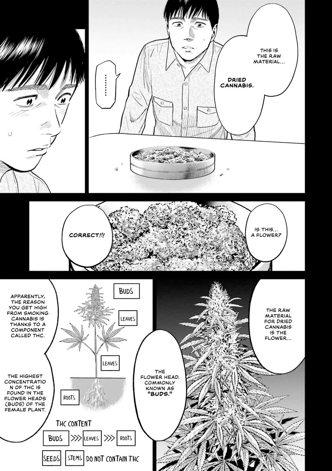 Tokyo Cannabis Special Ward - The Guy Called Cannabis King chapter 7 page 3