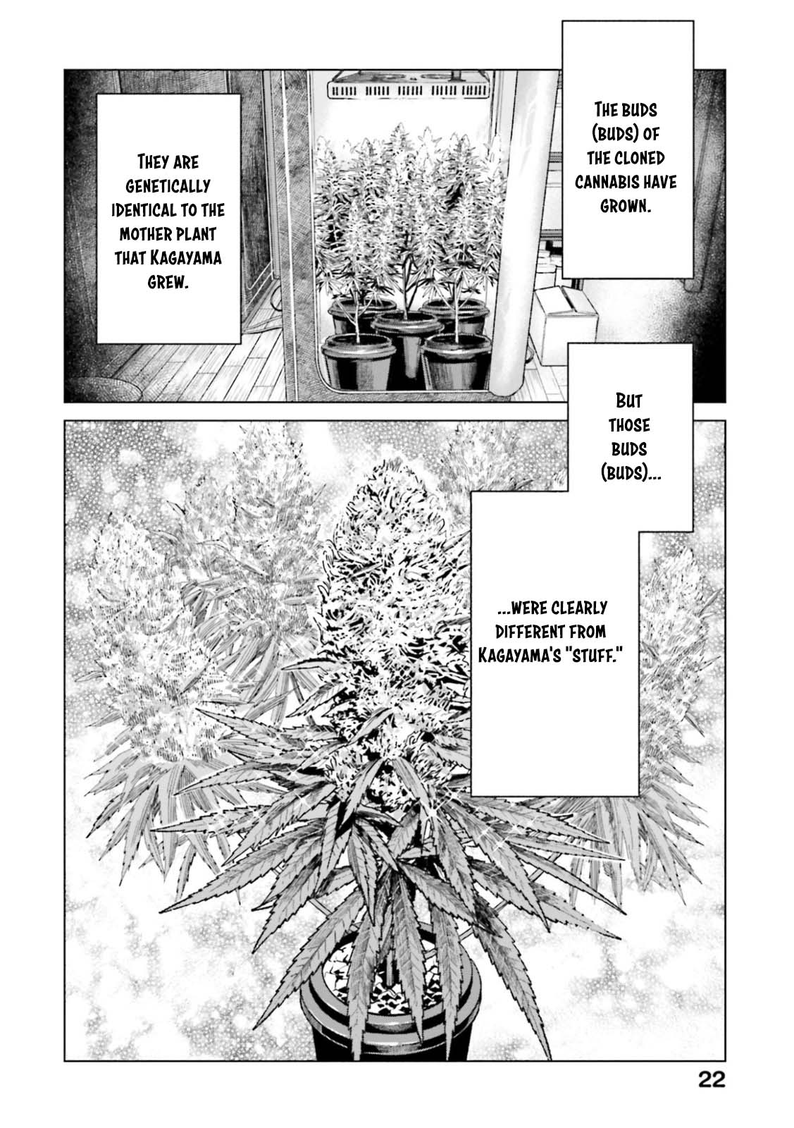 Tokyo Cannabis Special Ward - The Guy Called Cannabis King chapter 8 page 20