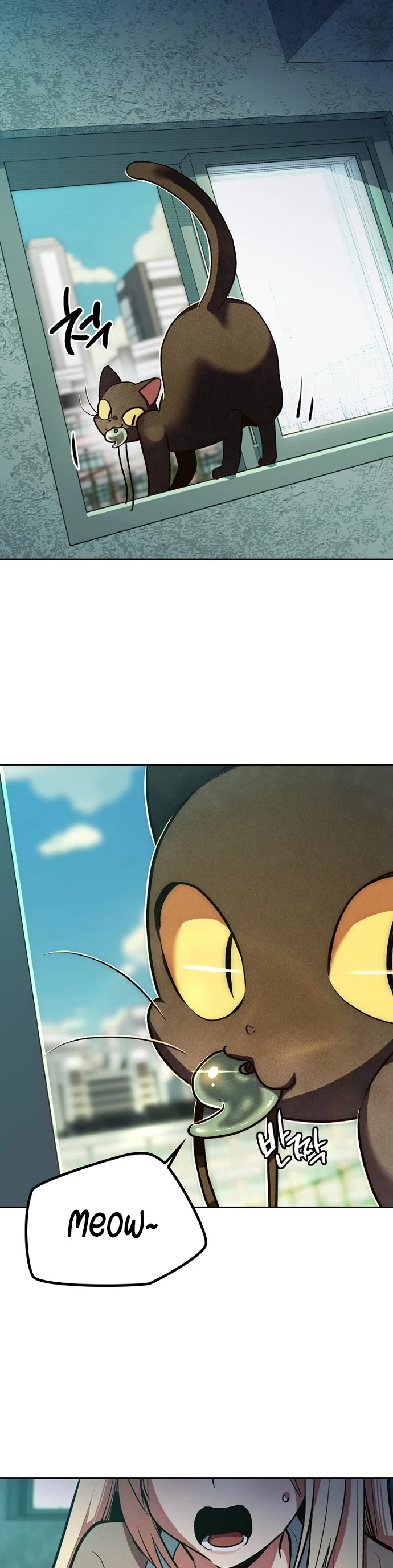 Twelve Zodiac Girls chapter 1 page 47