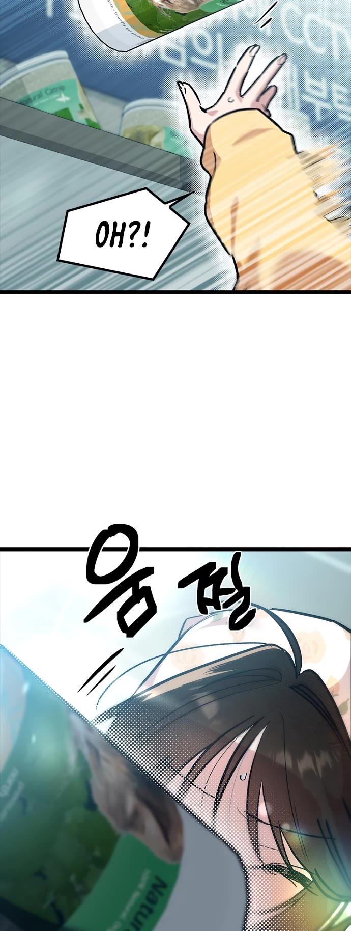 Twelve Zodiac Girls chapter 21 page 46