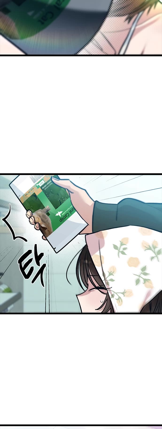 Twelve Zodiac Girls chapter 21 page 47