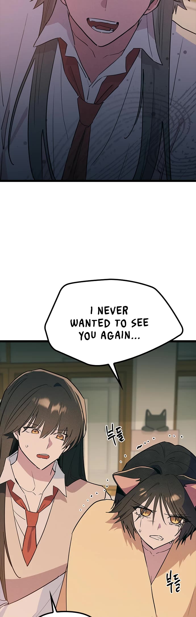 Twelve Zodiac Girls chapter 50 page 41