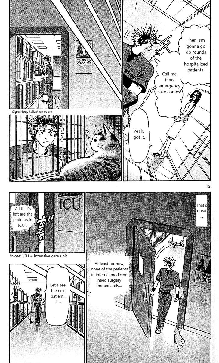 Wild Life chapter 107 page 13