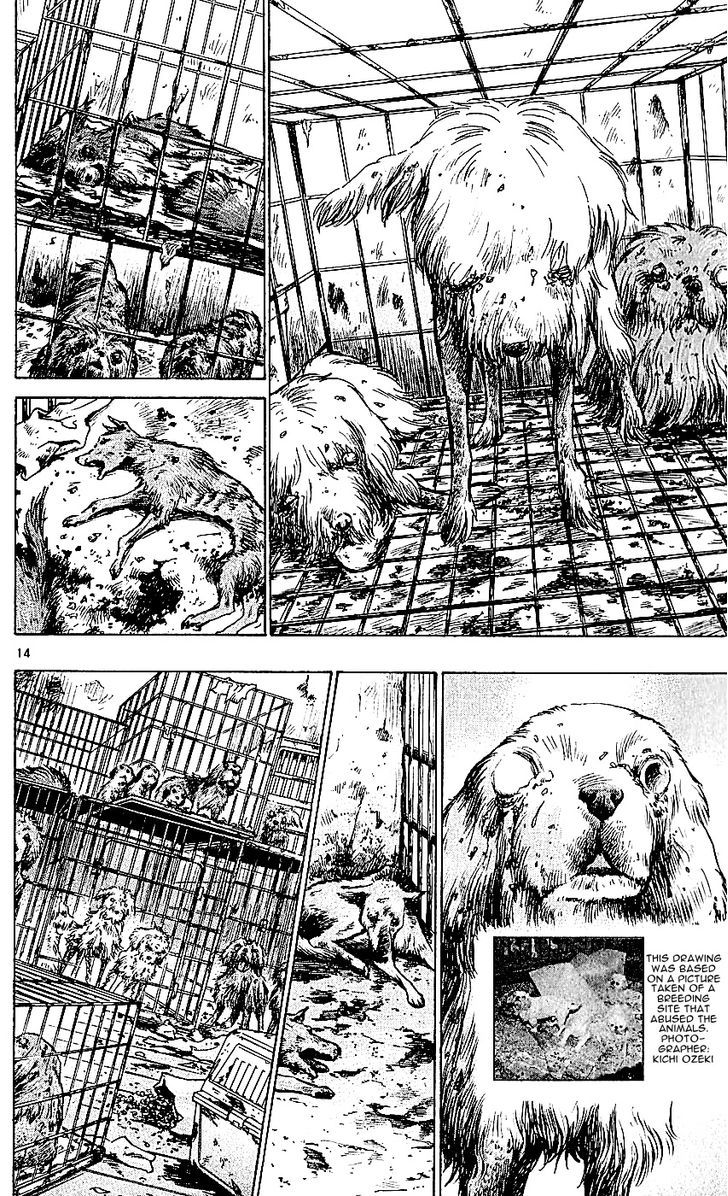 Wild Life chapter 113 page 14