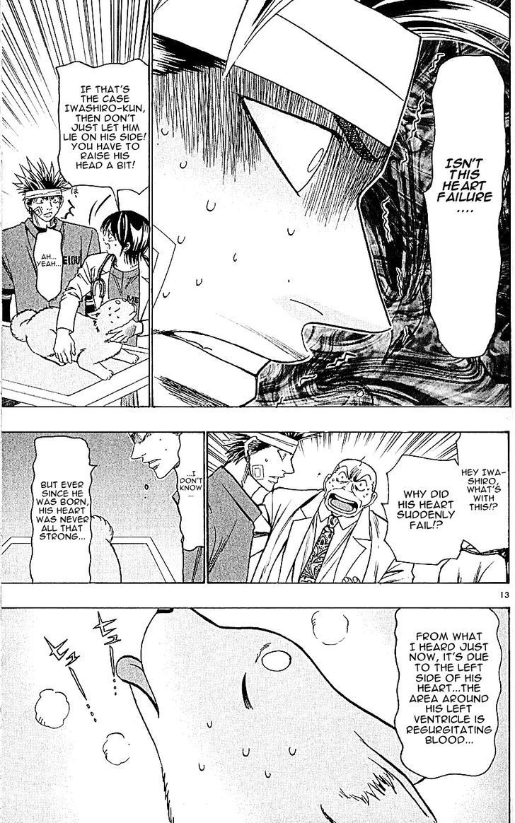 Wild Life chapter 121 page 13