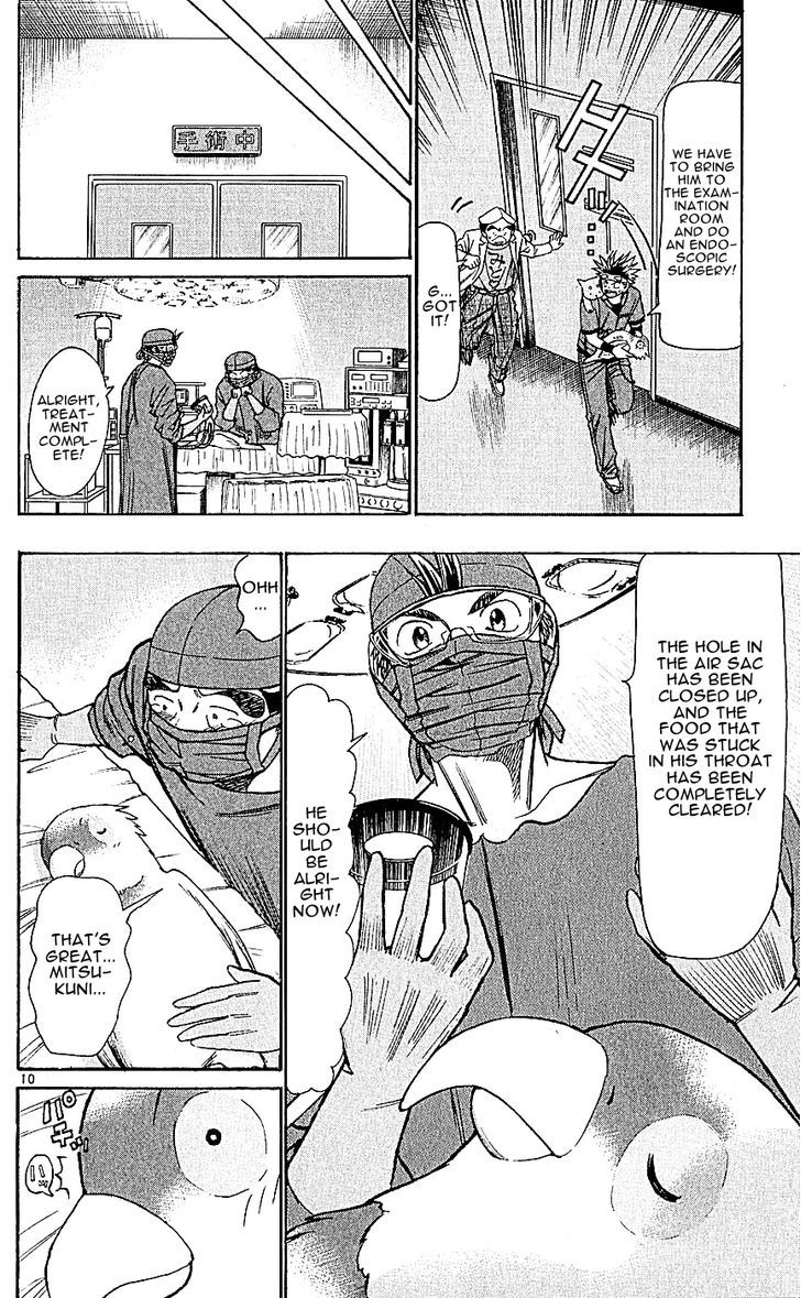 Wild Life chapter 126 page 10