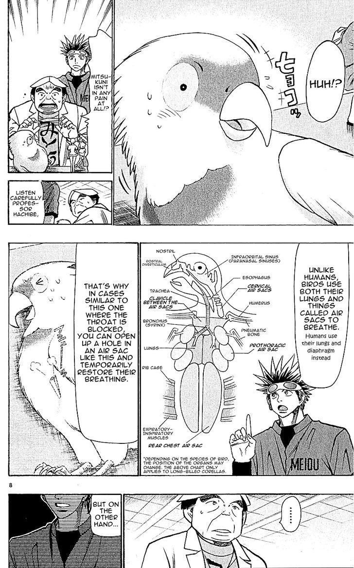 Wild Life chapter 126 page 8