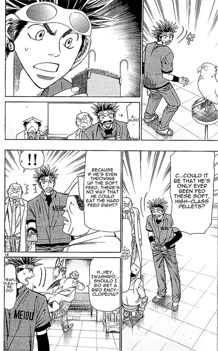 Wild Life chapter 127 page 18