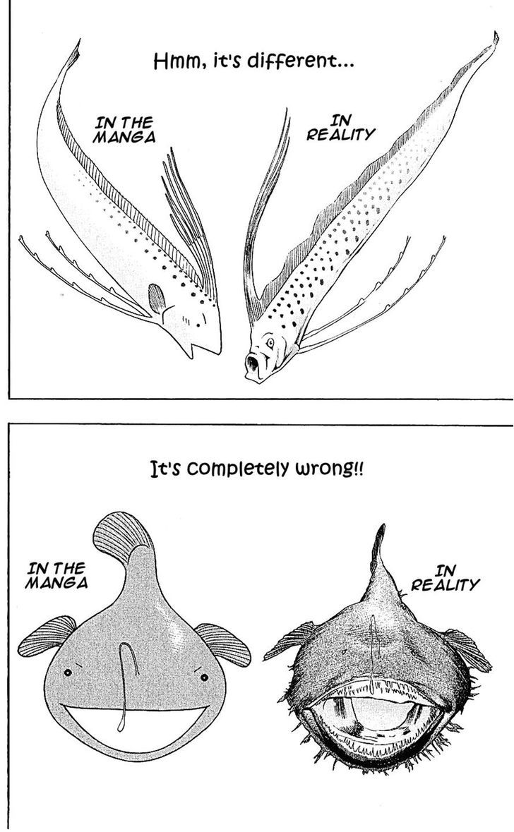 Wild Life chapter 131 page 22
