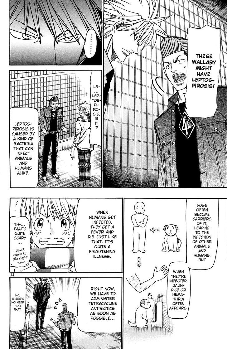 Wild Life chapter 156 page 15