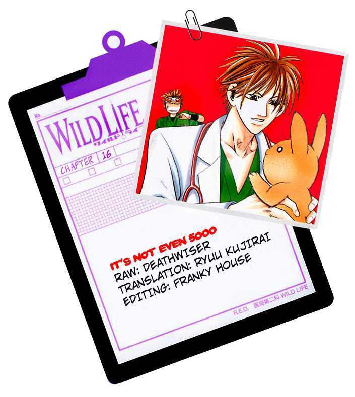 Wild Life chapter 16 page 19