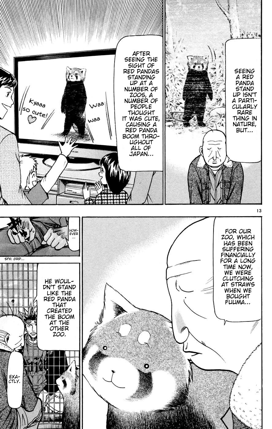 Wild Life chapter 160 page 13