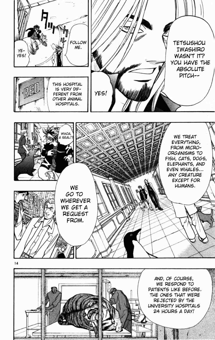 Wild Life chapter 2 page 13