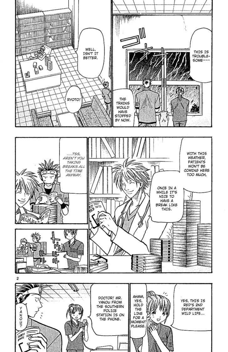 Wild Life chapter 37 page 3