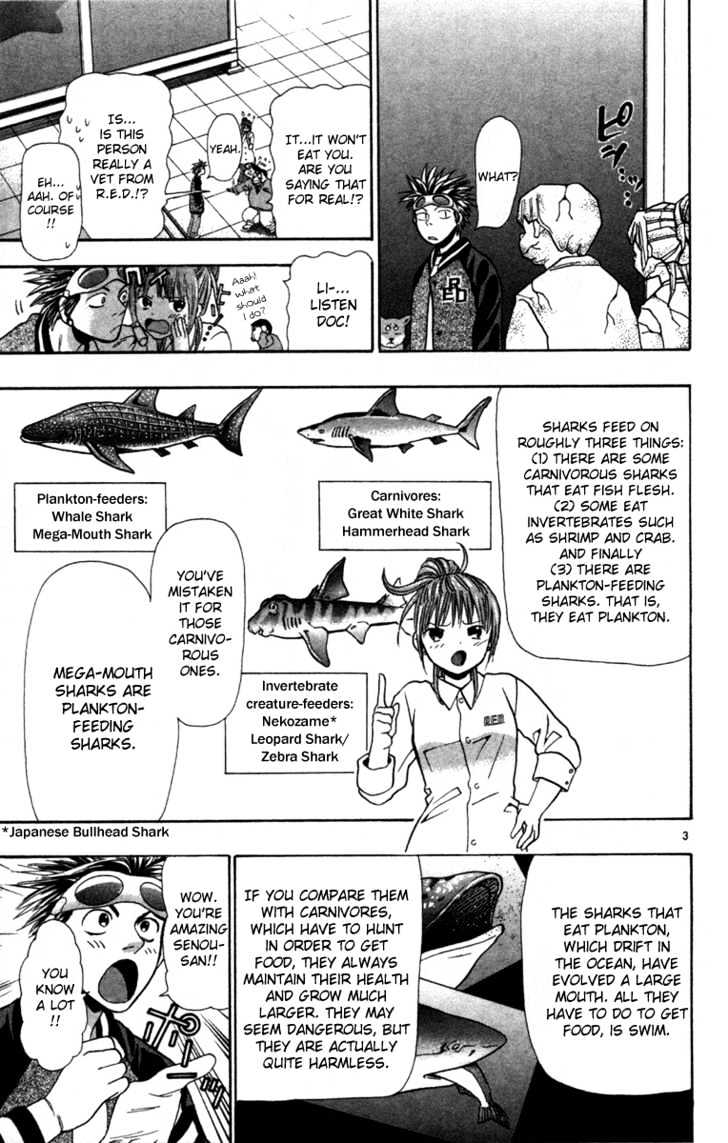 Wild Life chapter 4 page 4