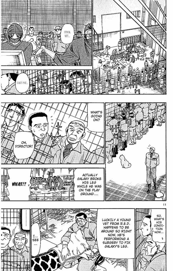 Wild Life chapter 44 page 13