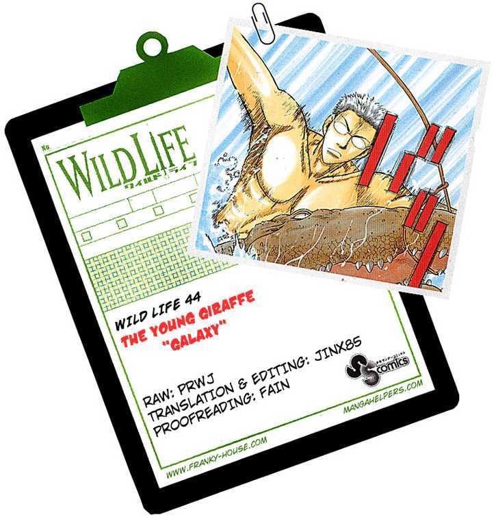 Wild Life chapter 44 page 23
