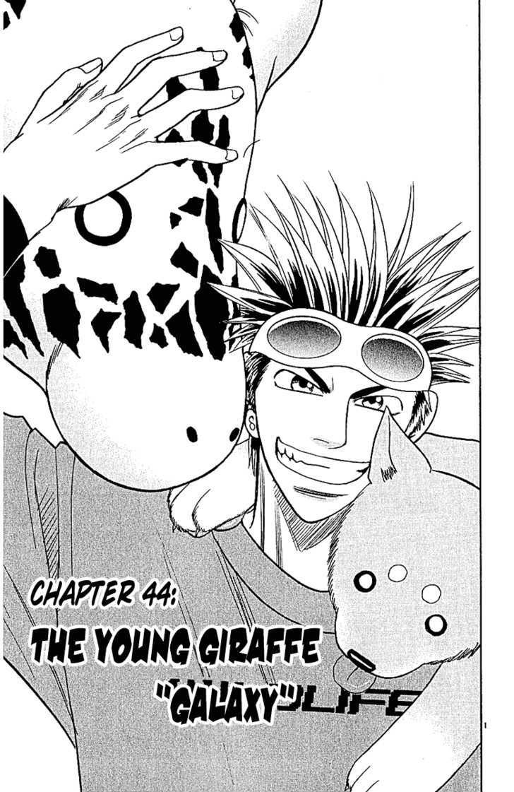 Wild Life chapter 44 page 3