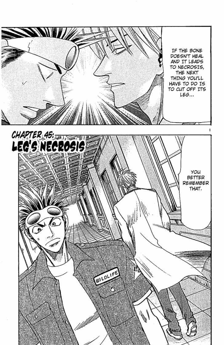 Wild Life chapter 45 page 3