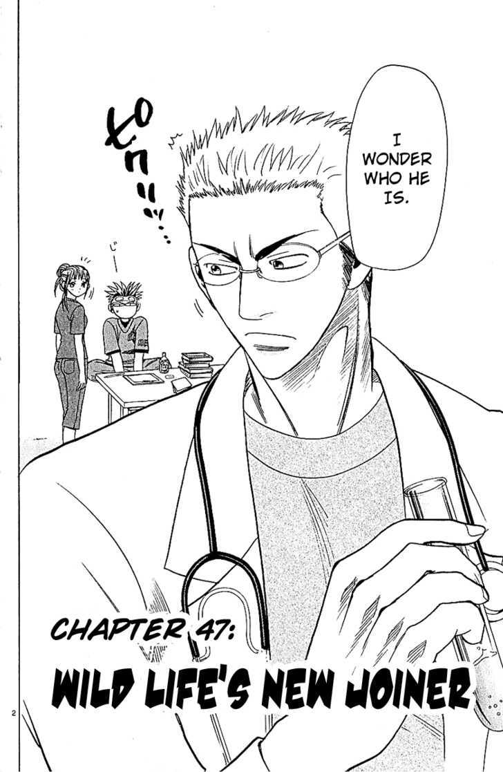 Wild Life chapter 47 page 4