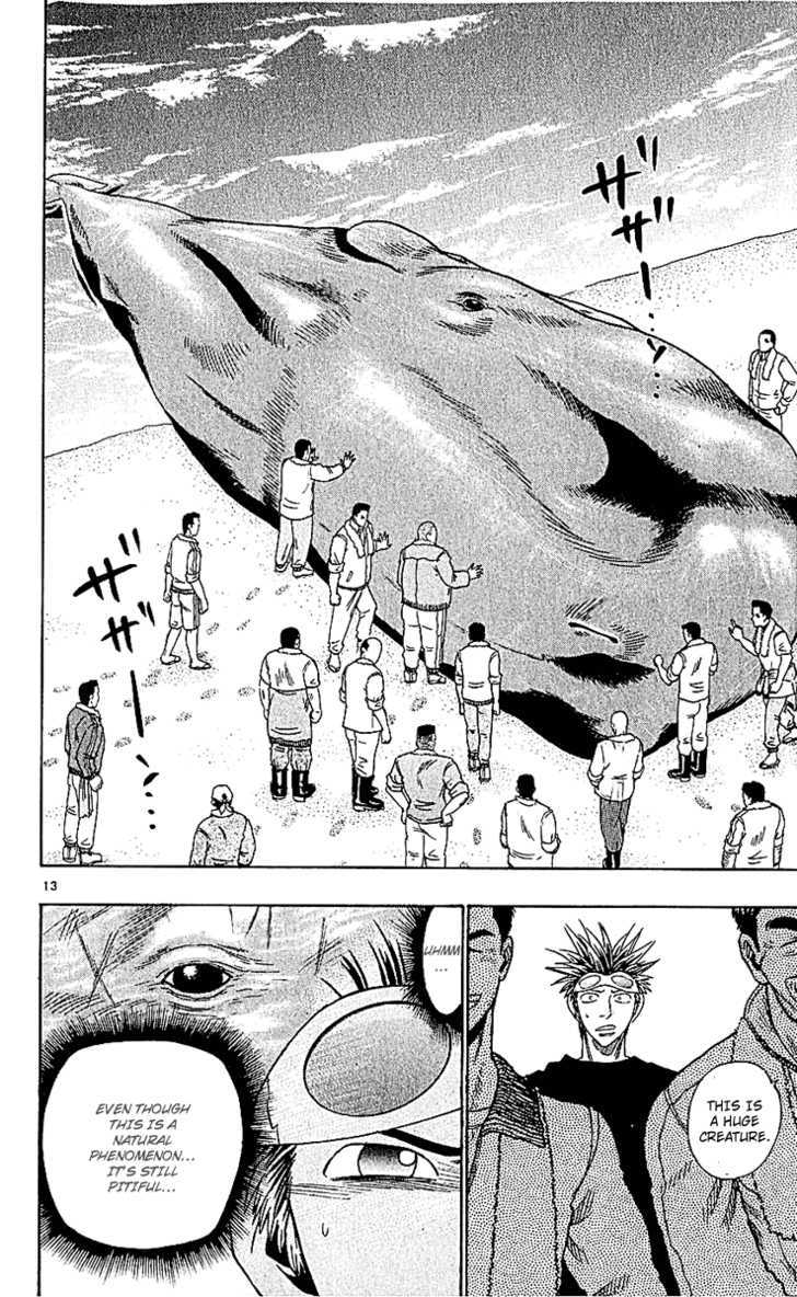 Wild Life chapter 49 page 14