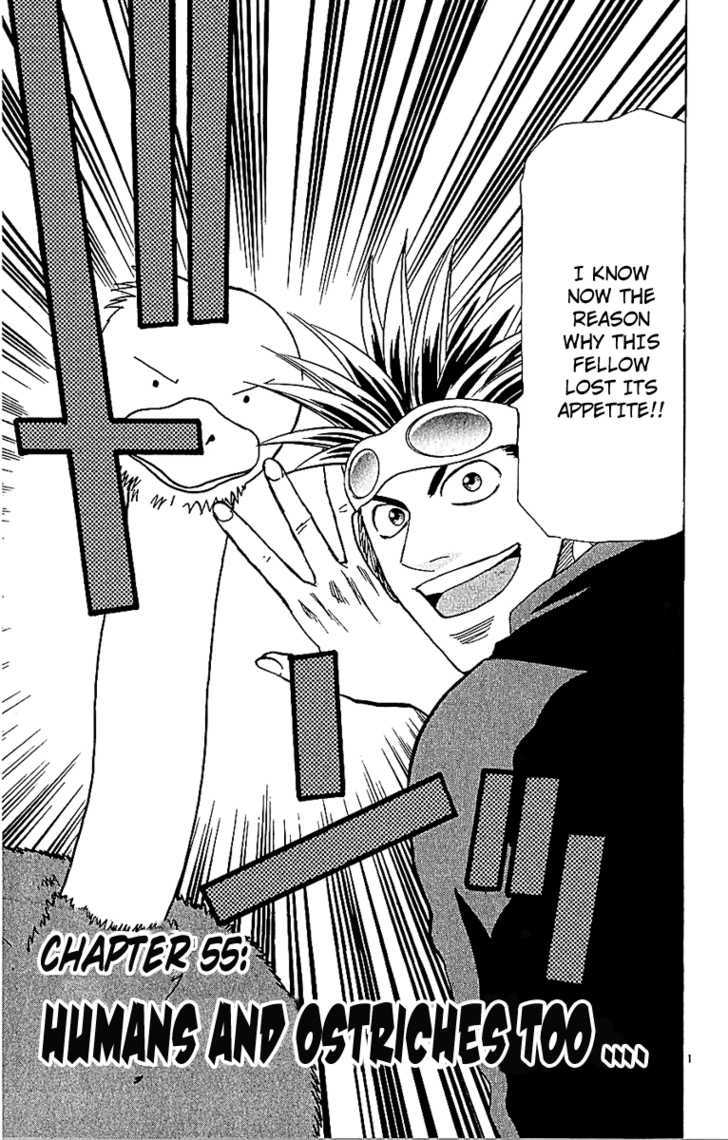 Wild Life chapter 55 page 2
