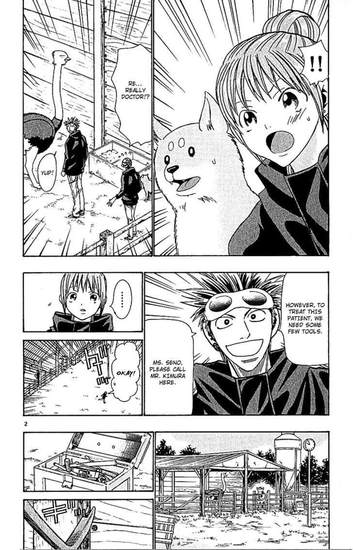 Wild Life chapter 55 page 3