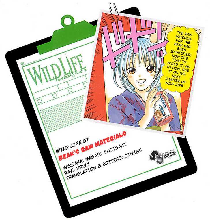 Wild Life chapter 57 page 24