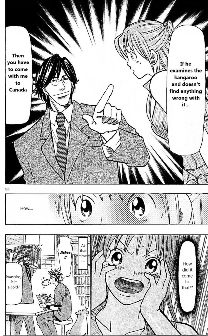 Wild Life chapter 76 page 20