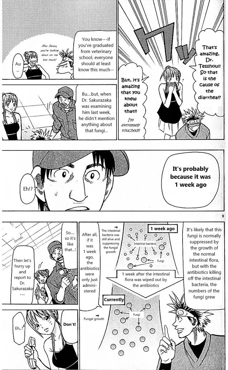 Wild Life chapter 78 page 13