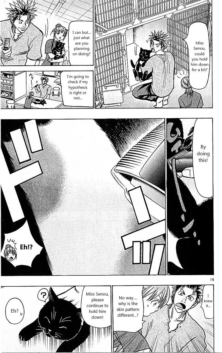 Wild Life chapter 81 page 15