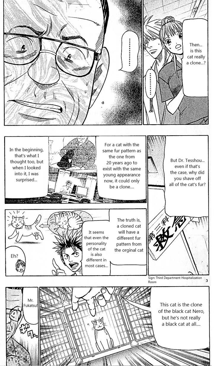 Wild Life chapter 82 page 3