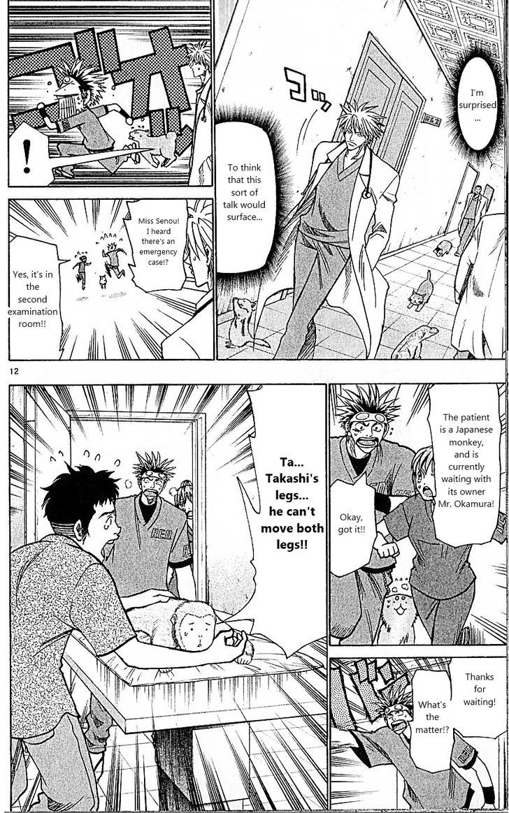 Wild Life chapter 83 page 12