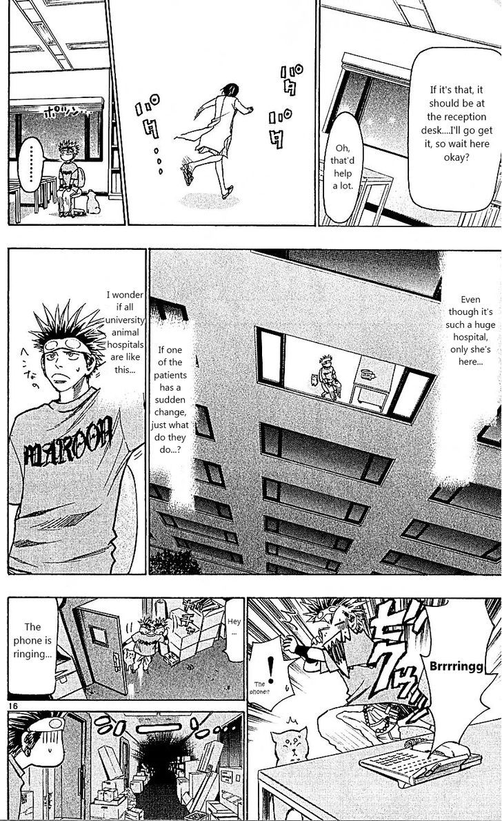 Wild Life chapter 88 page 16