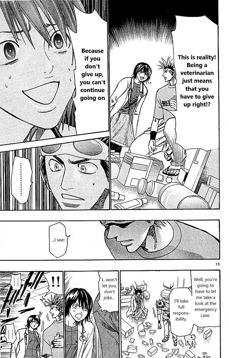 Wild Life chapter 89 page 13