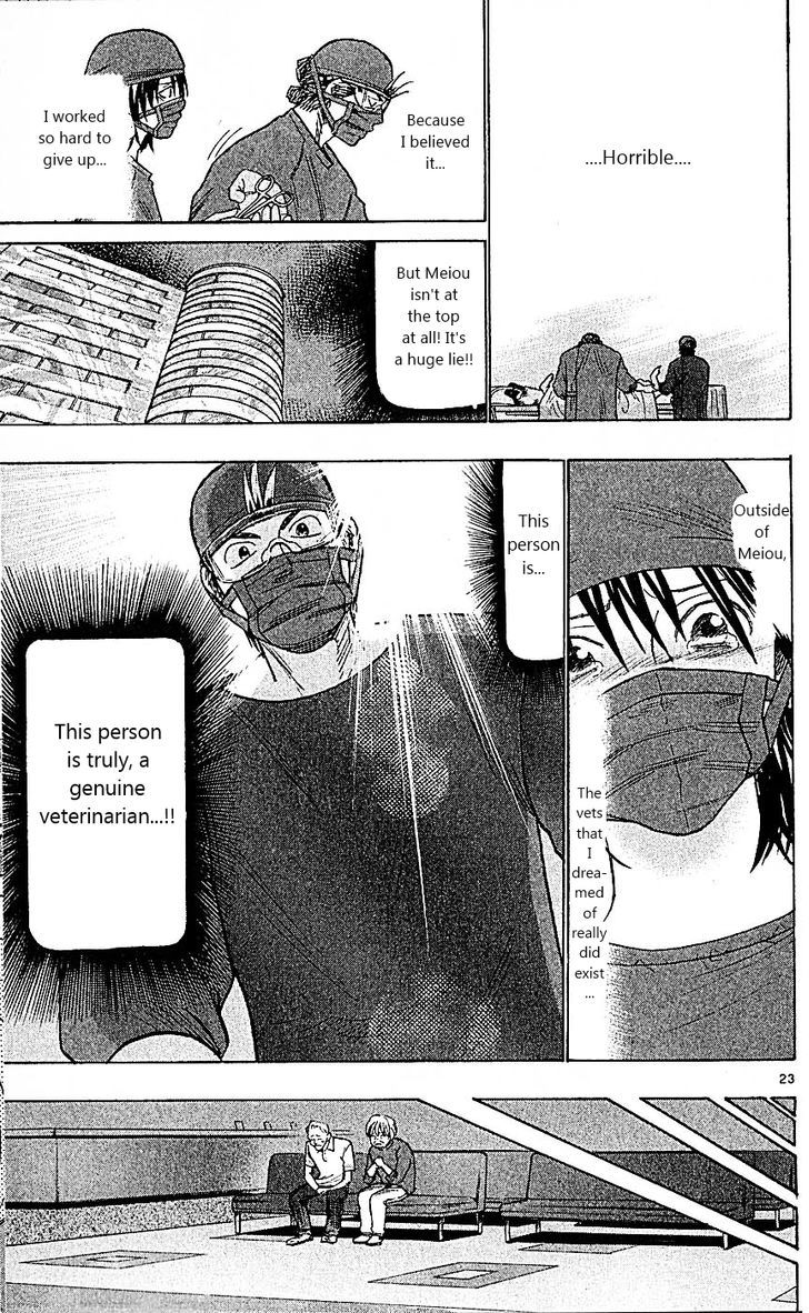 Wild Life chapter 90 page 22