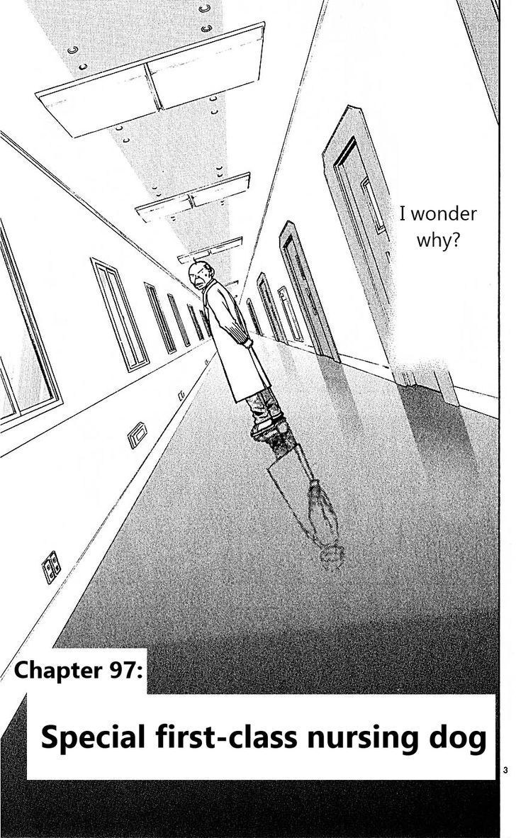 Wild Life chapter 97 page 3