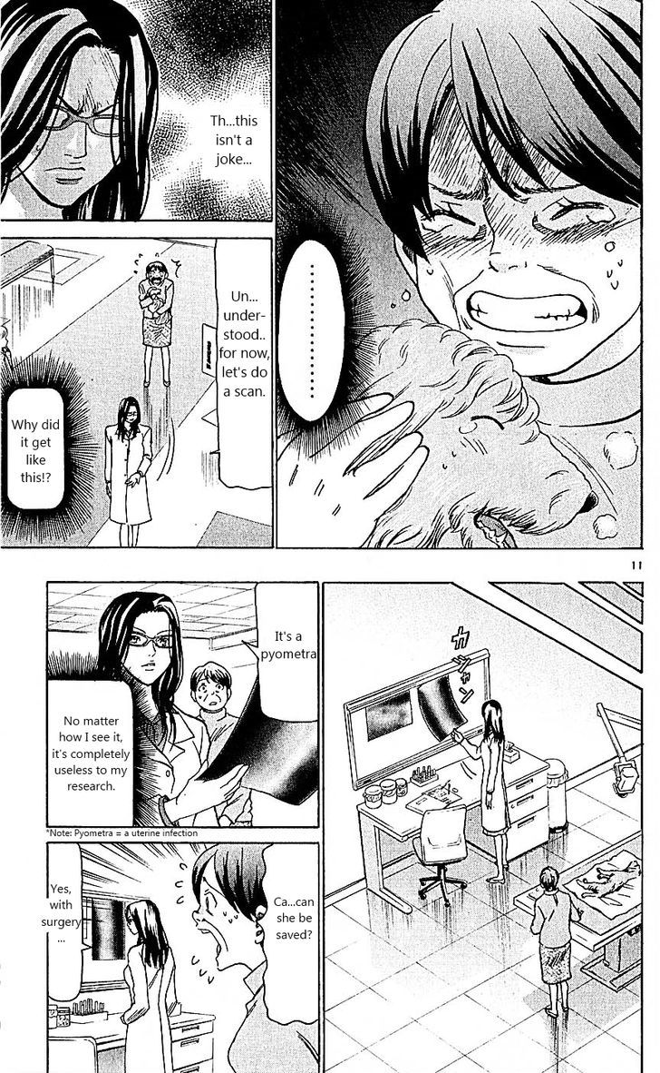 Wild Life chapter 99 page 11