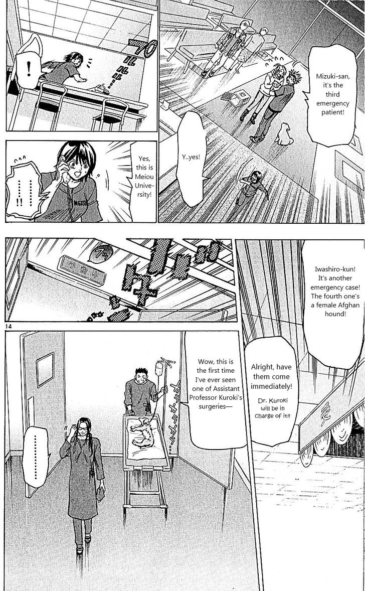 Wild Life chapter 99 page 14