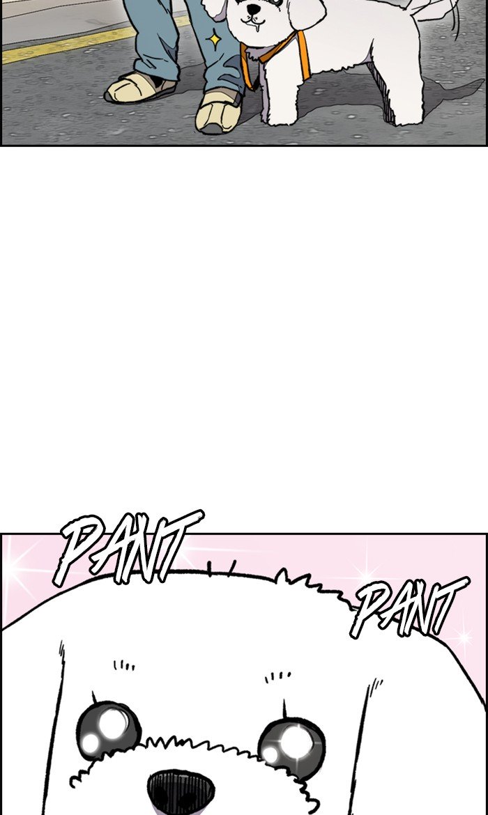 Wind Breaker chapter 278 page 52