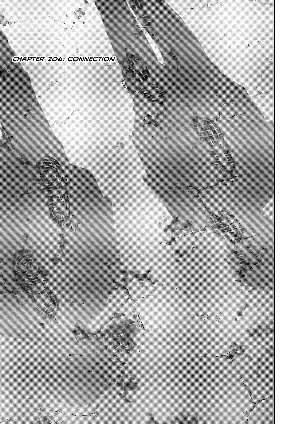 Wind Breaker (NII Satoru) chapter 206 page 1