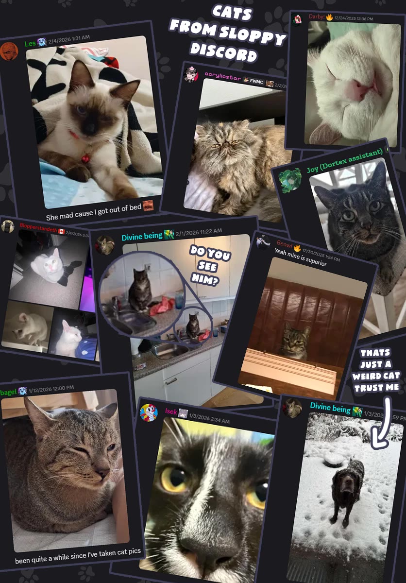 You are a Four Leaf Clover chapter 67 page 20