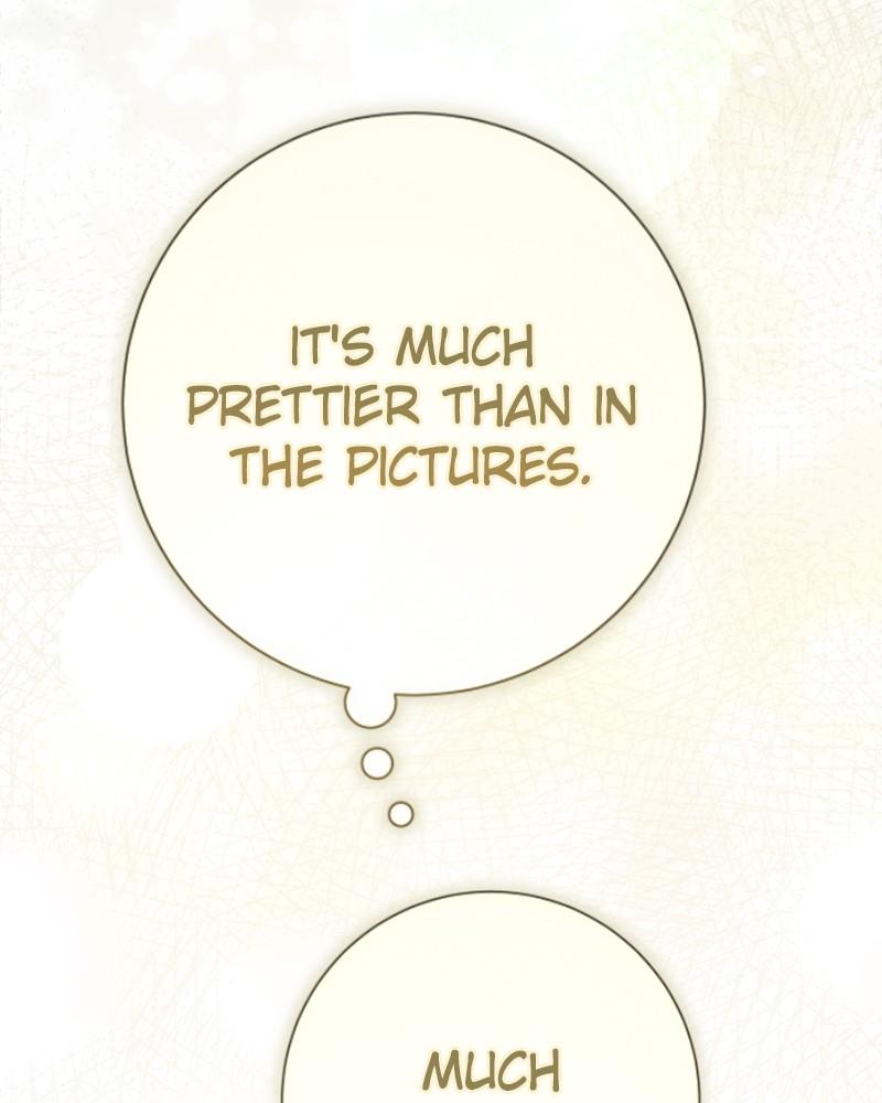 Your Throne chapter 205 page 217