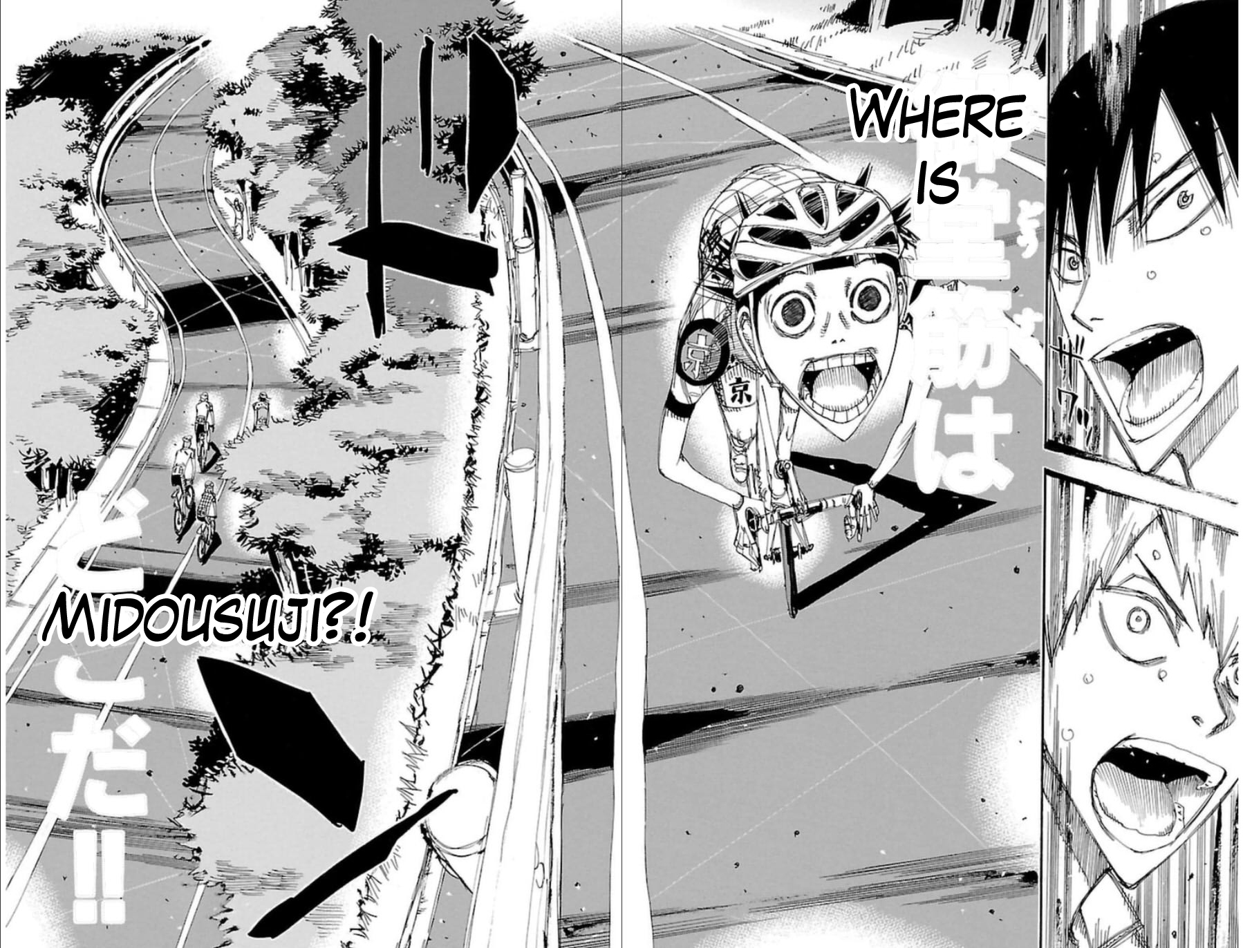 Yowamushi Pedal chapter 340 page 13